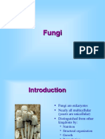 Fungi LectureF19BB