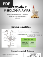 Anatomía y Fisiología Aviar