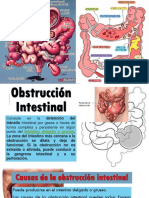 Patologia Abdomen