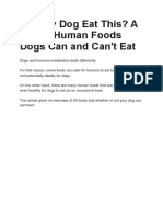 Can My Dog Eat This? A List of Human Foods Dogs Can and Can't Eat