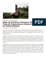 Dieta de Cerebros Humanos Ayudó A Una Tribu de Papúa-Nueva Guinea A Resistir Las Enfermedades - Ancient Origins España y Latinoamérica