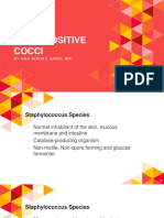 Gram Positive Cocci