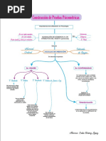 Mapa Mental - Construccion de Pruebas
