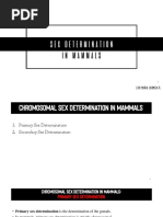 Sex Determination Report