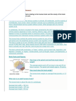 Questions Answers and Facts Relating To The Human Brain and The Study of The Brain Organ Including The Spinal Cord. ?