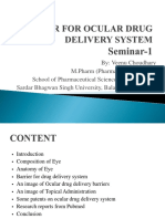 Barrier For Ocular Drug Delivery System