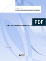 MEA366A Perform Borescope Inspections: Revision Number: 2