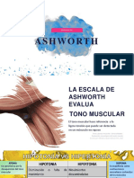 Ashworth PPT Vico