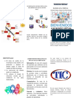 Triptico PDF