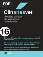 Clinanesvet