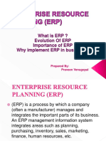 What Is ERP ? Evolution of ERP Importance of ERP Why Implement ERP in Business ?