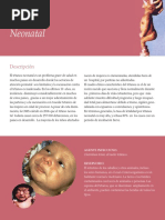 EspañolOPS Tetano Neonatal