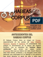 Tribunal Constitucional - Accion de Amparo - Habeas Corpus