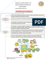 Función y Aplicación de Los Terpenos