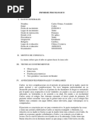 Informe Psicologico Trabajo