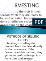 Methods of Selling Fruits