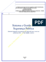 Sistemas e Gestão em Segurança Pública - Apostila (ATUAL)