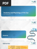 Anatomy and Physiology of The Eye