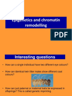 Epigenetics and Chromatin Remodelling