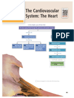 Inner Part of The Heart PDF