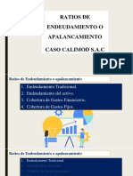 Ratios de Endeudamiento