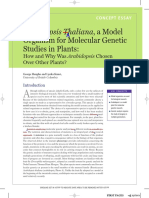 Essay Arabidopsis As A Model Organism 2010 Proof PDF