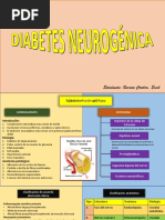 Diabetes Neurogenica