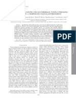 Jellyfish Aggregations and Leatherback Turtle Foraging Patterns in A Temperate Coastal Environment