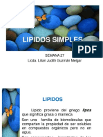 27 Lipidos Simples 2019