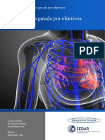 Fluidoterapia Guiada Por Objetivo