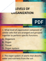 Levels of Organization Quiz