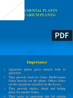 Ornamental Plants (Aquarium Plants)