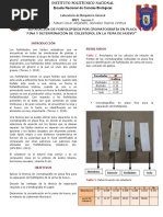 Separación de Fosfolipidos Por Cromatografía Final