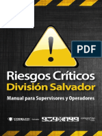 Riesgos Críticos: División Salvador