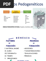 Procesos Pedogeneticos