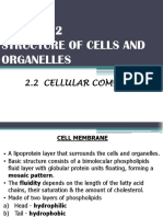 Chapter 2 Structure of Cells and Organelles