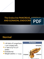 The Endocrine Pancreas II