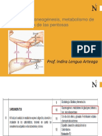 Clase10 Glucilisis Gluconeogenesis BQ UPN