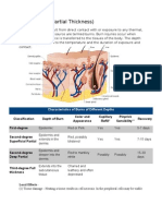 Burns (Deep Partial Thickness) : Characteristics of Burns of Different Depths