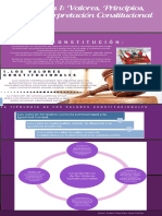 Infografia Derecho Constitucional