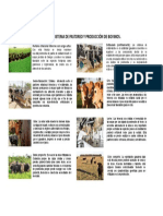 Infografia Sistemas de Pastoreo y Produccion de Bovinos