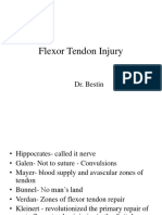 Flexor Tendon Injury: Dr. Bestin