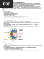 Secondary or Peripheral Lymphoid Organs