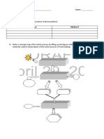 Sample Activity (Photosynthesis)