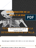 Determinación de La Talla y La Edad