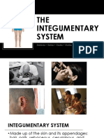 Integumentary System Report