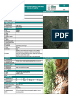 6.-Ficha de Catalogo de Cerro Lorito. 