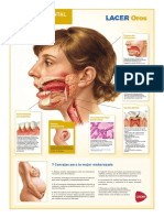 Salud Bucodental Embarazo