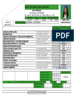 Boletin PDF