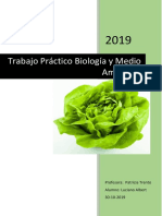 Informe Cultivo de Lechuga 